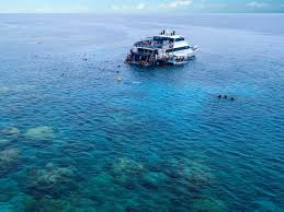 Reef experience underwater